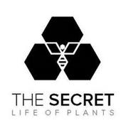 THE SECRET LIFE OF PLANTS