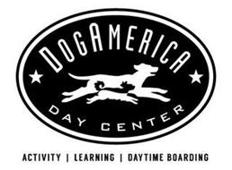 DOGAMERICA DAY CENTER ACTIVITY | LEARNING | DAYTIME BOARDING