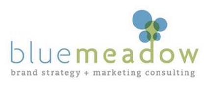 BLUE MEADOW BRAND STRATEGY + MARKETING CONSULTING