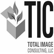 TIC TOTAL IMGAE CONSULTING LLC