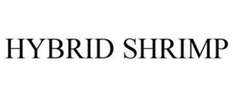 HYBRID SHRIMP