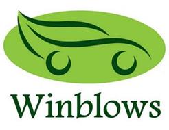 WINBLOWS