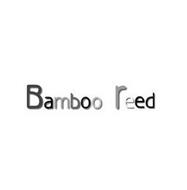 BAMBOO REED