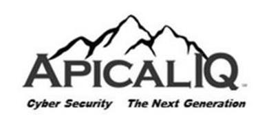 APICAL IQ CYBER SECURITY THE NEXT GENERATION