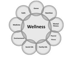 WELLNESS GENES NUTRITION MENTAL FITNESS PHYSICAL FITNESS FAMILY LIFE SOCIAL LIFE ENVIRONMENT MEDICINE FAITH