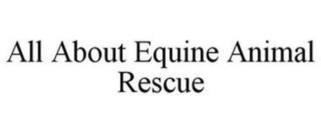 ALL ABOUT EQUINE ANIMAL RESCUE