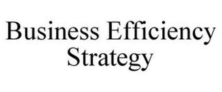 BUSINESS EFFICIENCY STRATEGY