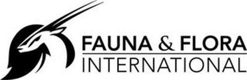 FAUNA & FLORA INTERNATIONAL