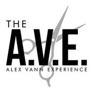 THE A.V.E. ALEX VANN EXPERIENCE