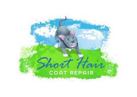 SHORT HAIR COAT REPAIR