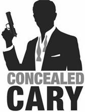 CONCEALED CARY