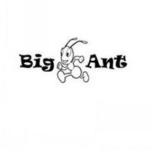 BIG ANT