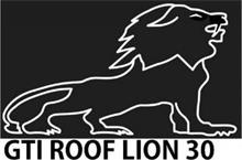 GTI ROOF LION 30