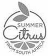 SUMMER CITRUS FROM SOUTH AFRICA