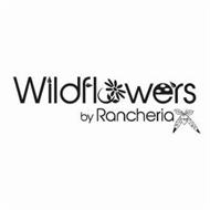 WILDFLOWERS BY RANCHERIA