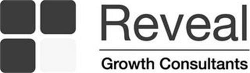REVEAL GROWTH CONSULTANTS