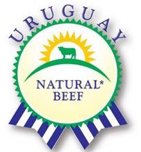 URUGUAY NATURAL BEEF