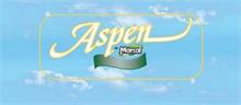 ASPEN BY MARCAL PRO