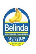 BELINDA PREMIUM BANANAS SUPERIOR QUALITY ECUADOR
