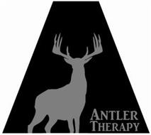 ANTLER THERAPY