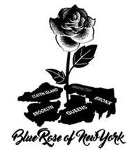 BLUE ROSE OF NEWYORK STATEN ISLAND BROOKLYN QUEENS BRONX MANHATTAN