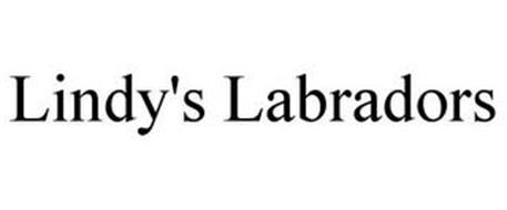 LINDY'S LABRADORS