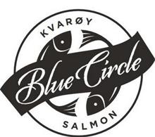BLUE CIRCLE KVAROY SALMON