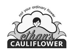 NOT YOUR ORDINARY FLOWER ETHAN'S CAULIFLOWER