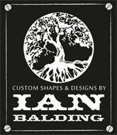 CUSTOM SHAPES & DESIGNS BY IAN BALDING