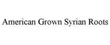 AMERICAN GROWN SYRIAN ROOTS