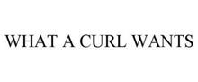 WHAT A CURL WANTS