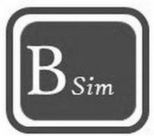 B SIM