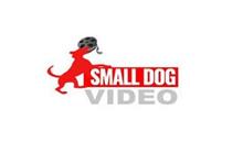 SMALL DOG VIDEO