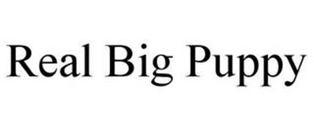 REAL BIG PUPPY LLC