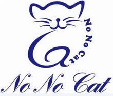 NO NO CAT