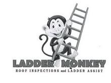 LADDER MONKEY ROOF INSPECTION AND LADDER ASSIST