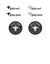 GULLY SURF, GULLY SURF, GULLY SKATE, GULLY SKATE, GULLY SURF SAN DIEGO, CA. SURF & SKATE