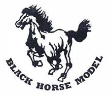 BLACK HORSE MODEL