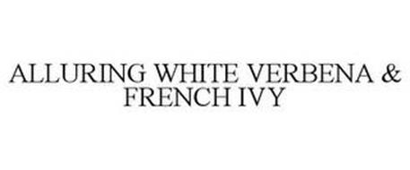 ALLURING WHITE VERBENA & FRENCH IVY