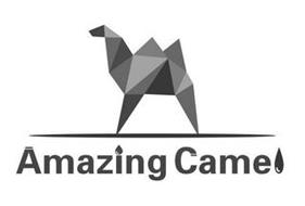 AMAZING CAMEL