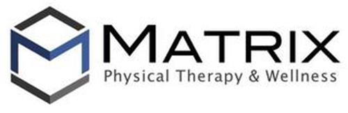 MATRIX PHYSICAL THERAPY & WELLNESS