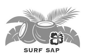 SURF SAP