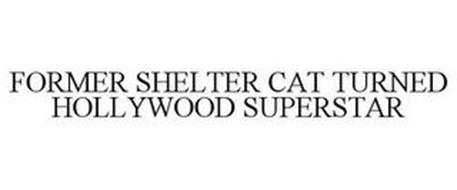 FORMER SHELTER CAT TURNED HOLLWOOD SUPERSTAR