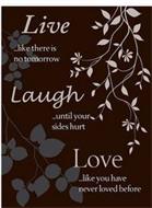 LIVE... LIKE THERE IS NO TOMORROW LAUGH... UNTIL YOUR SIDES HURT LOVE... LIKE YOU HAVE NEVER LOVED BEFORE