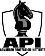 API ADVANCED PROTECTION INSTITUTE