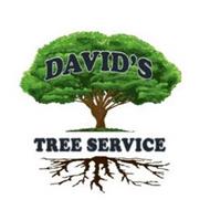 DAVID'S TREE SERVICE