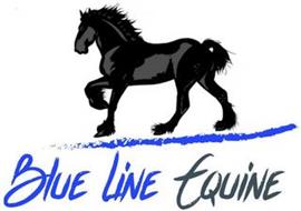 BLUE LINE EQUINE