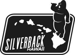 SILVERBACK HAWAII