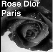 ROSE DIOR PARIS