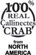 100% REAL CALLINECTES CRAB FROM NORTH AMERICA